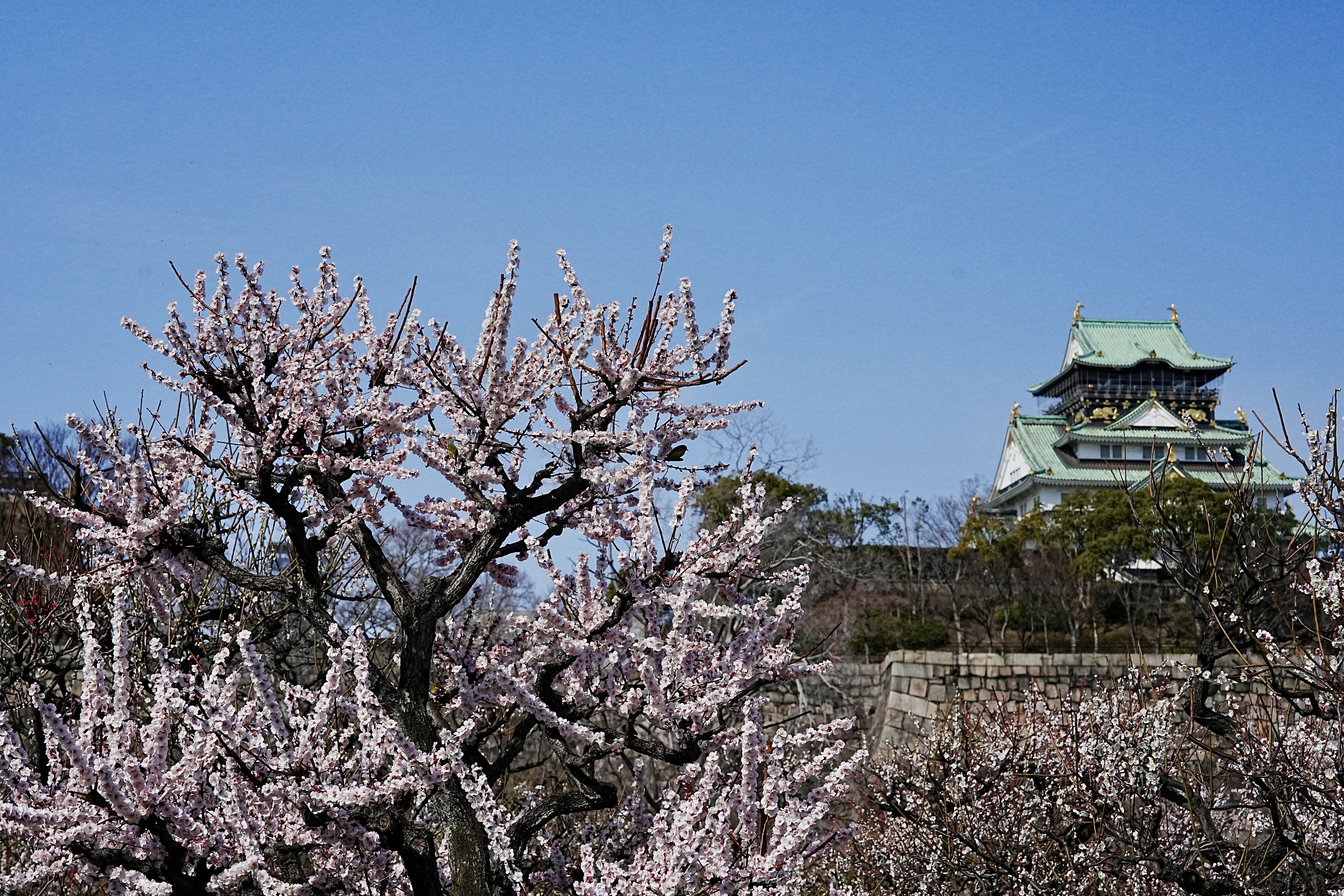 IMG_2280.jpeg