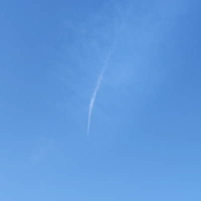 飛行機ぐも.jpg