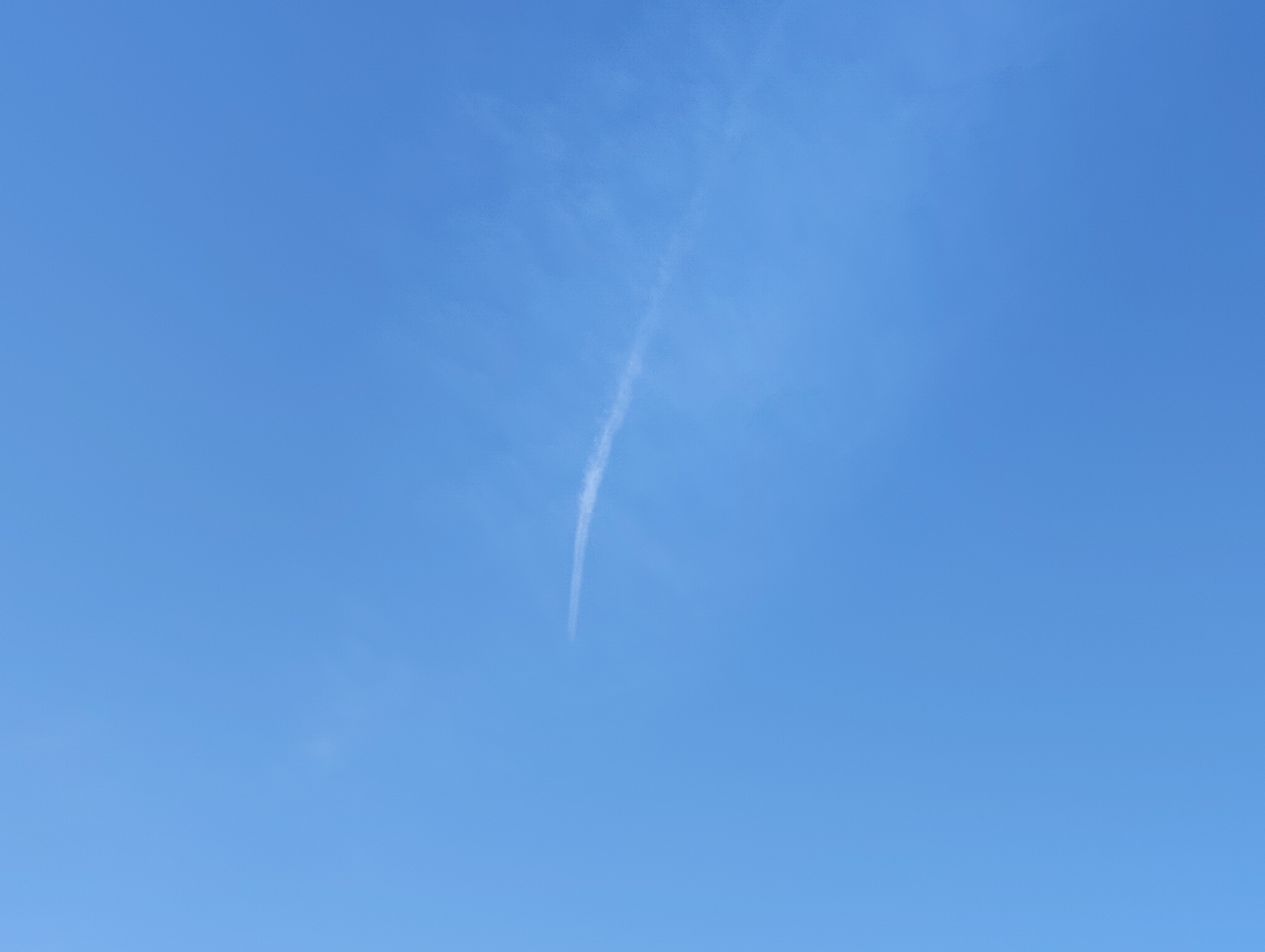 飛行機ぐも.jpg