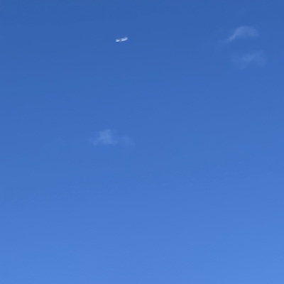 IMG_3637.jpeg