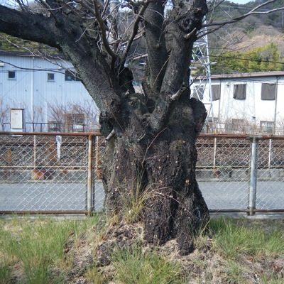 IMG_6694.jpeg