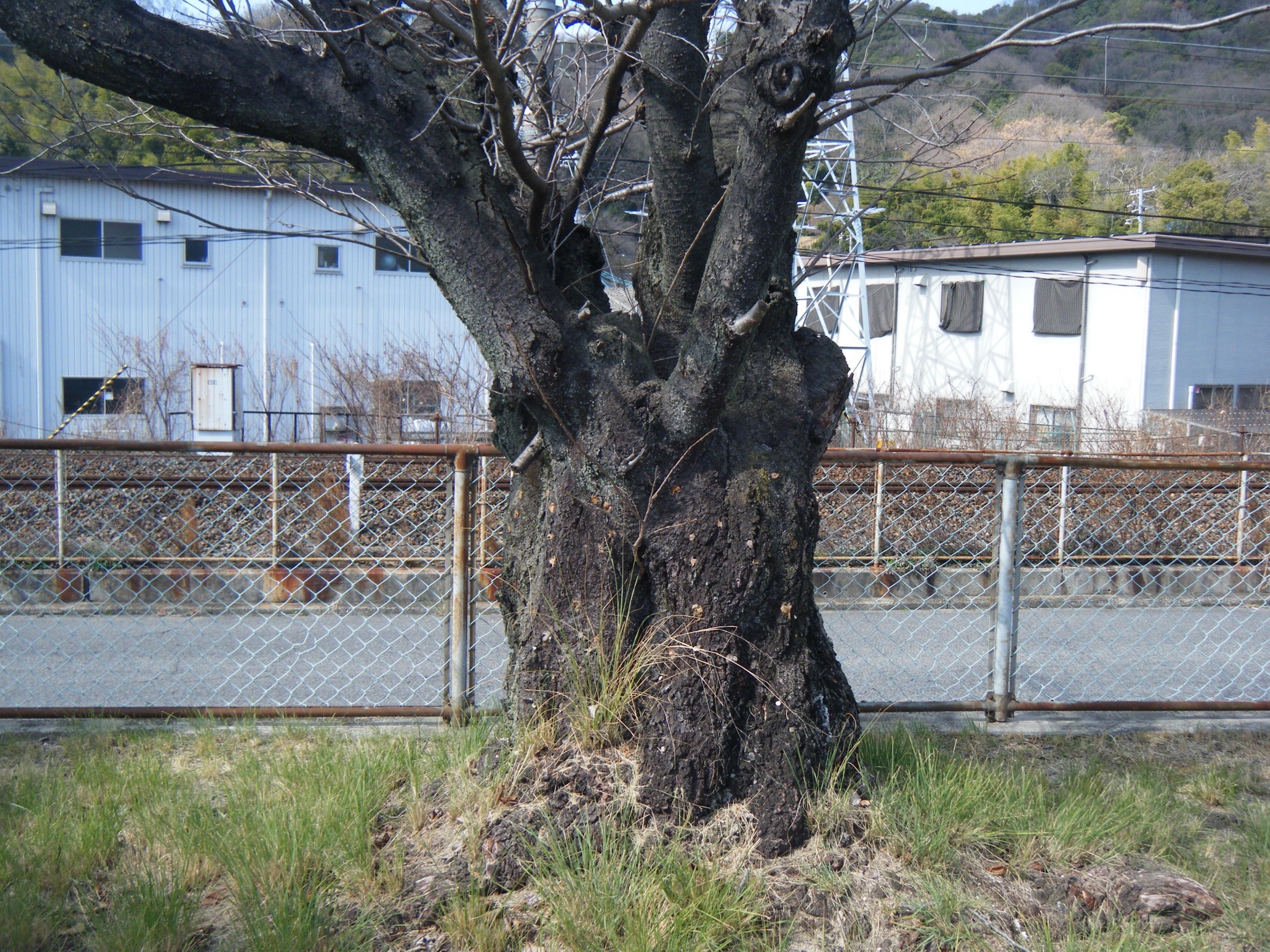 IMG_6694.jpeg