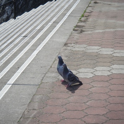 IMG_6690.jpeg