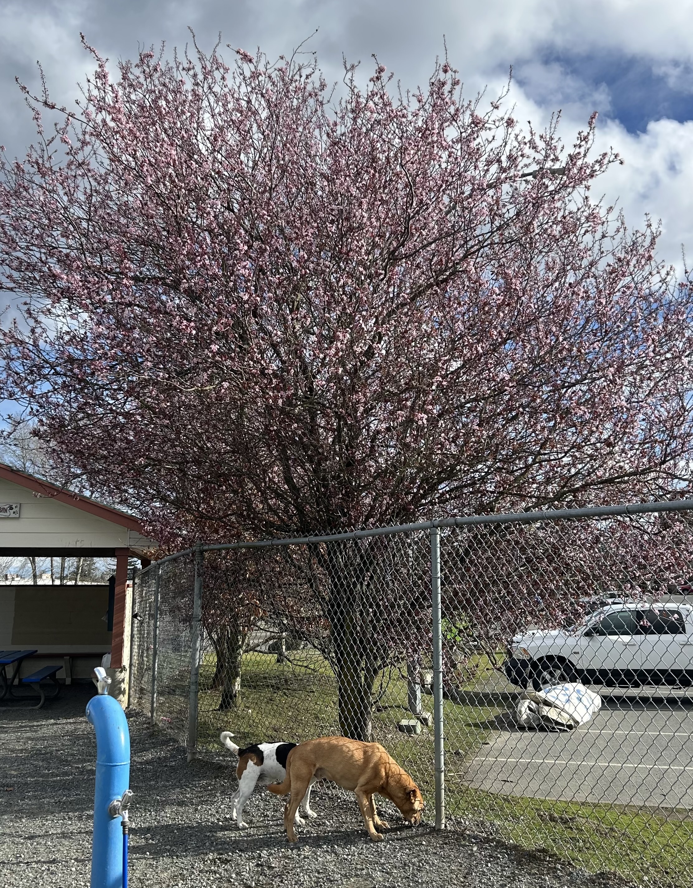 IMG_0955.jpeg