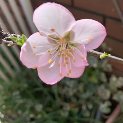 IMG_9206.jpeg