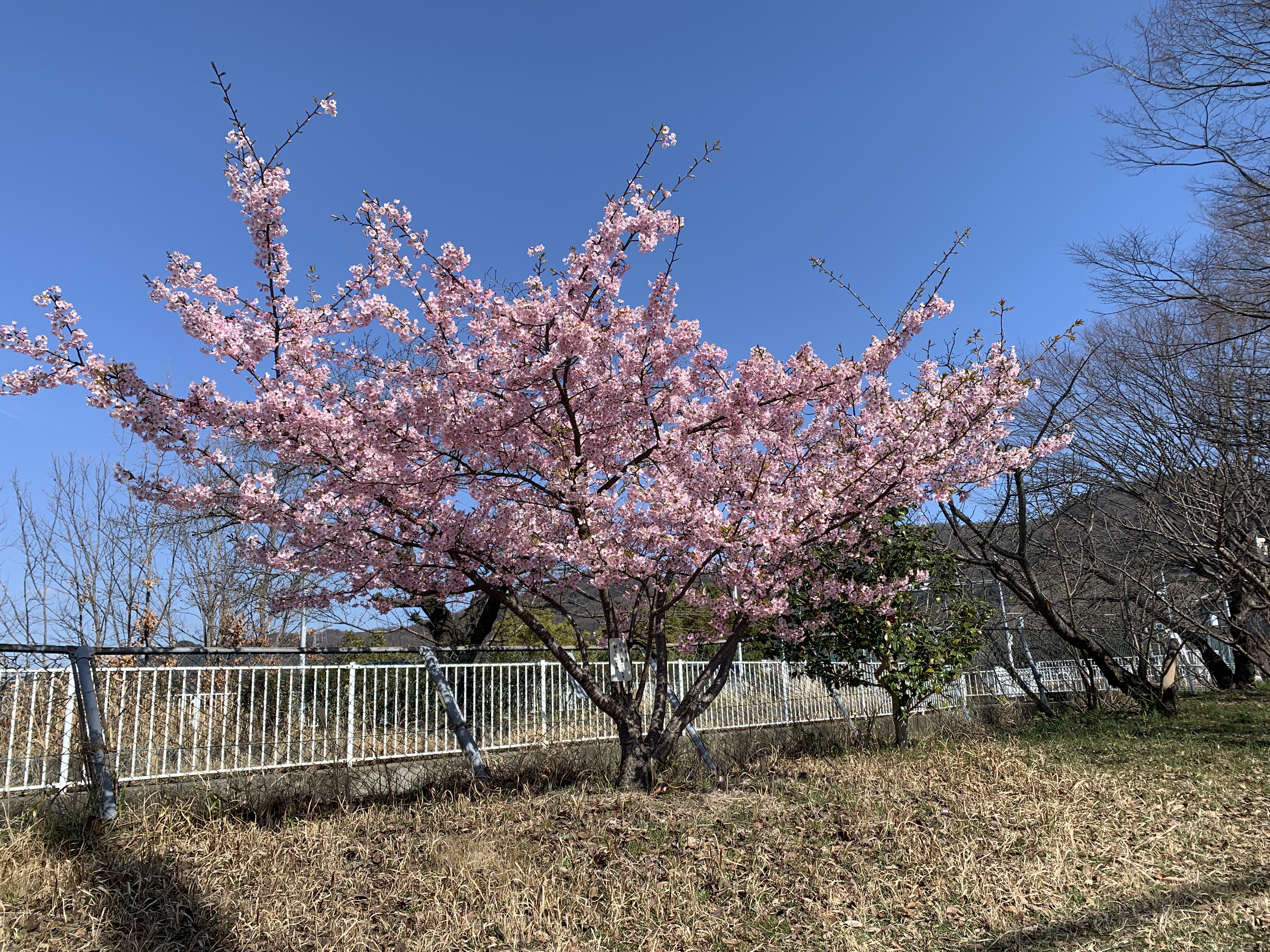 IMG_9213.jpeg