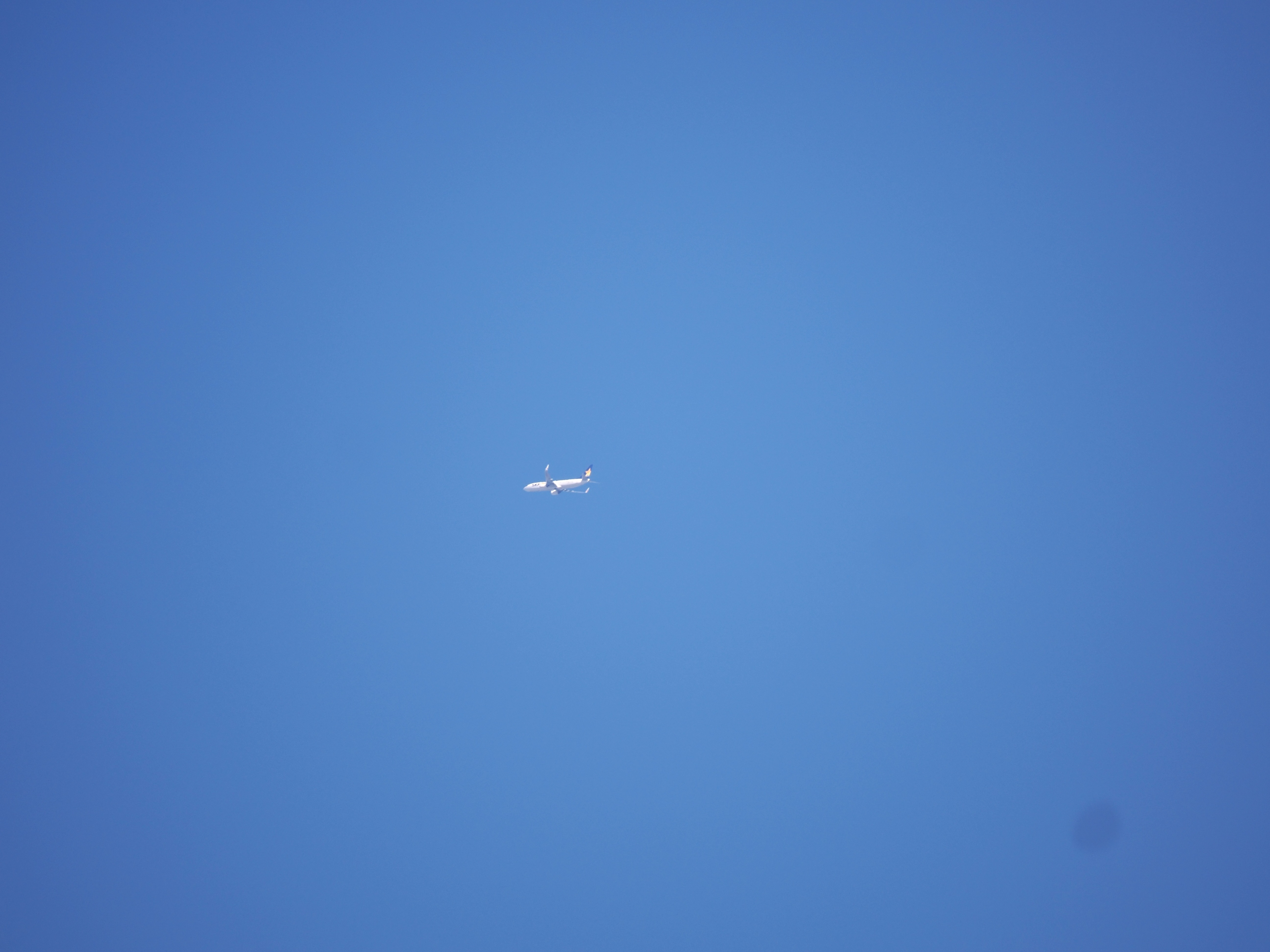 スカイマーク.jpg