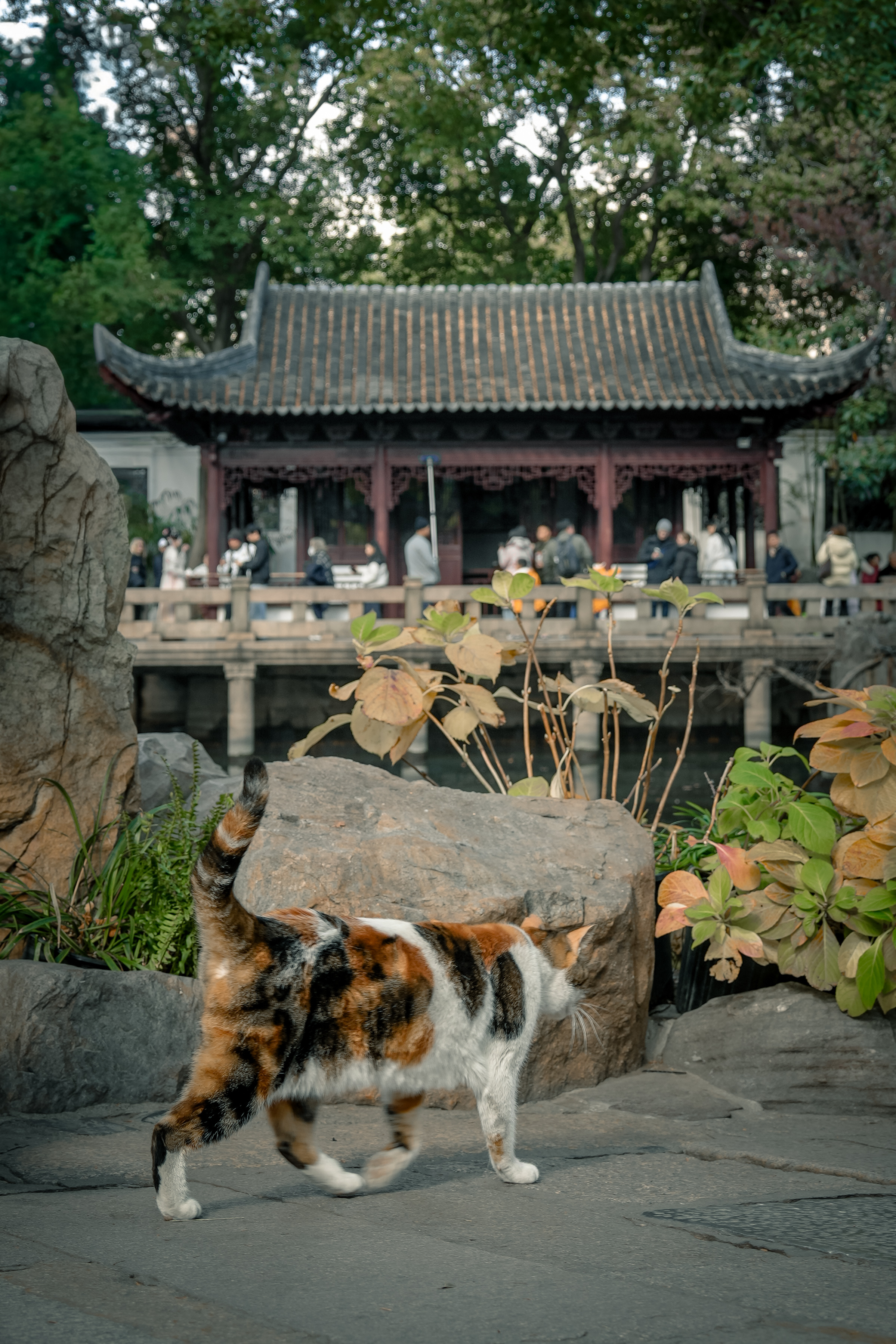A7FE83C5-88FA-47F5-B0A5-7AE6150979B7DSC09618_(2025-12-29T15_58_58.243).jpeg