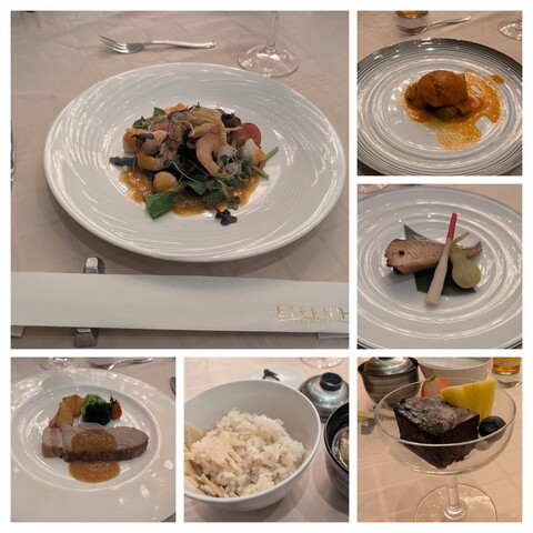 20260314_080447-COLLAGE.jpg