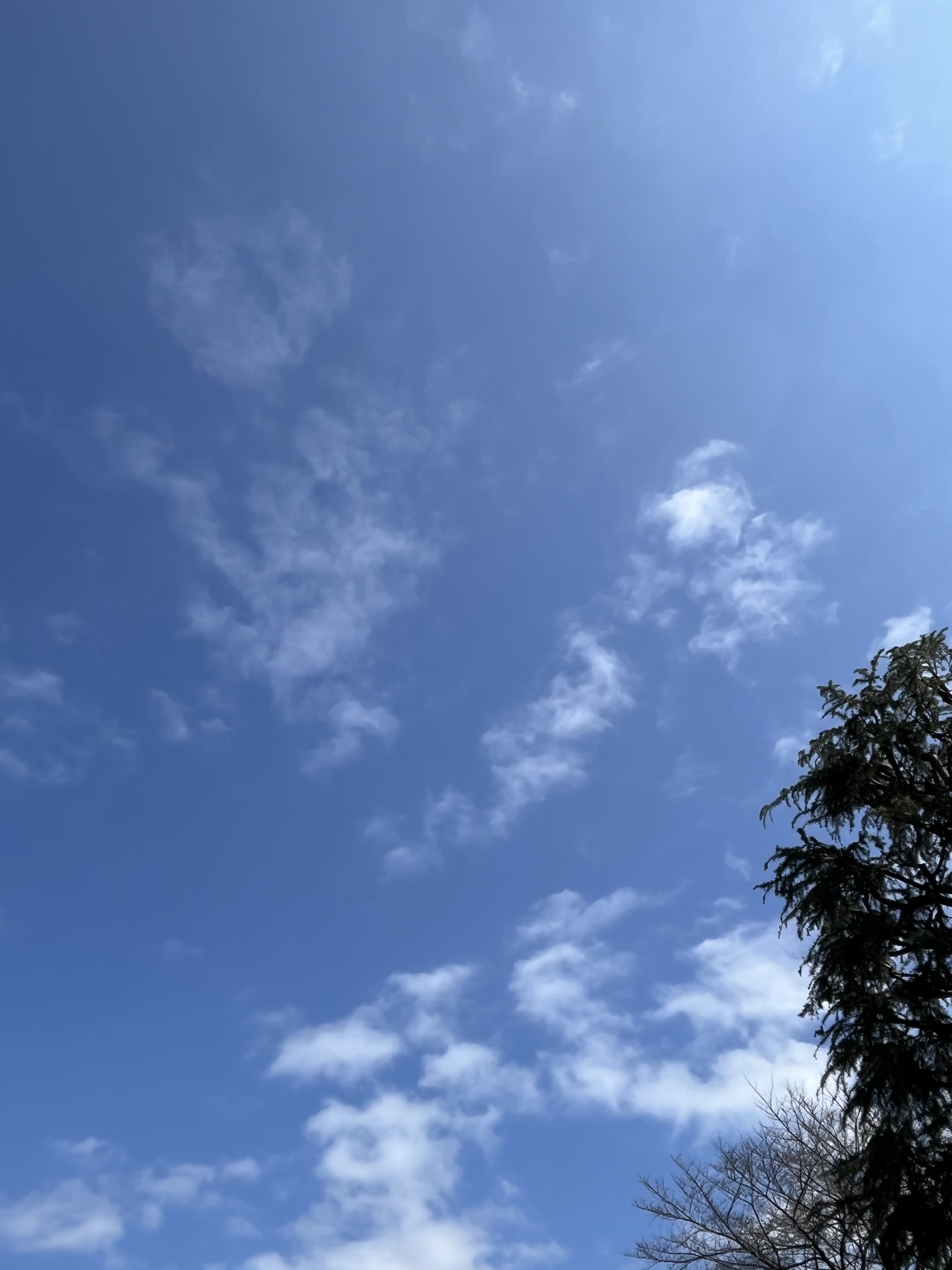 IMG_2886.jpeg