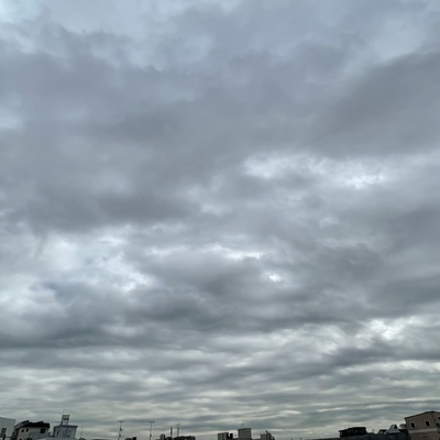 C33078F7-75D2-4779-91CD-FF84D62076A5.jpeg