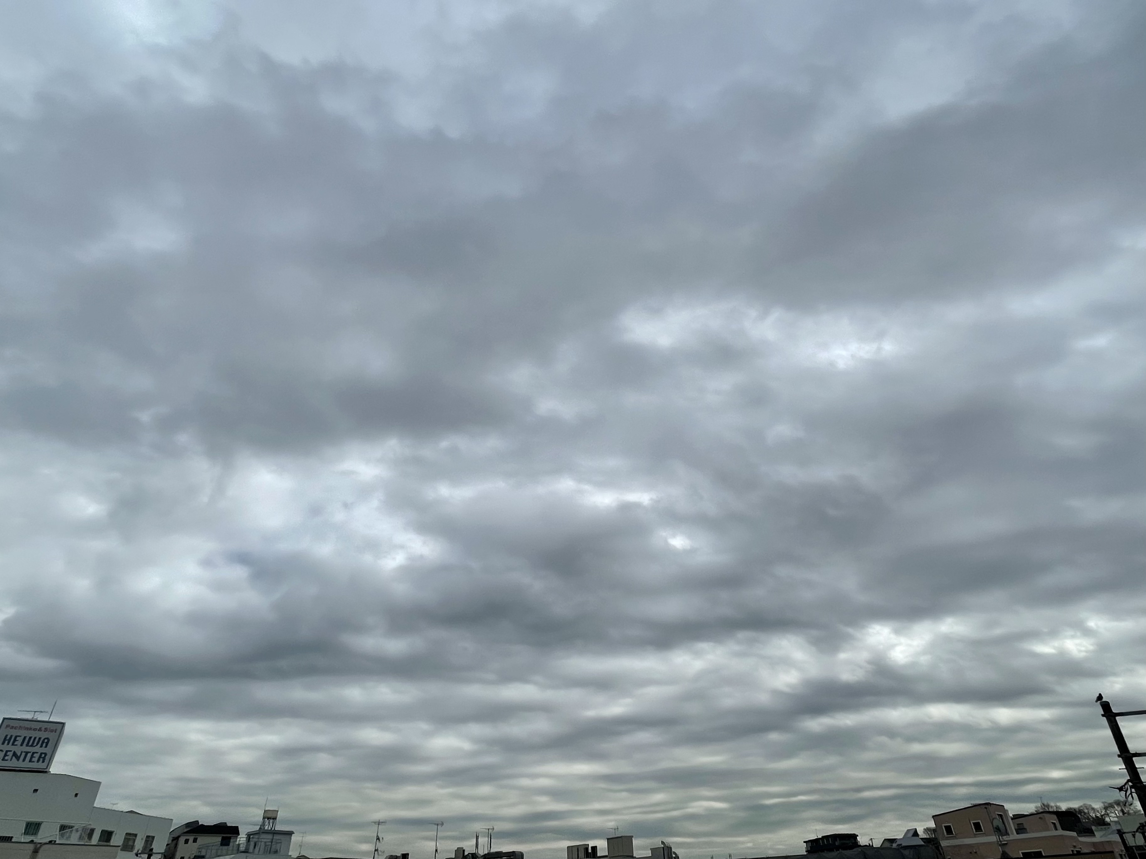 C33078F7-75D2-4779-91CD-FF84D62076A5.jpeg