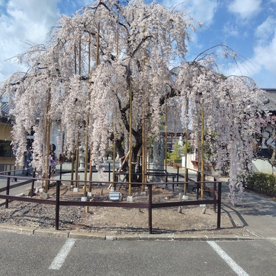 260320105923044.JPG