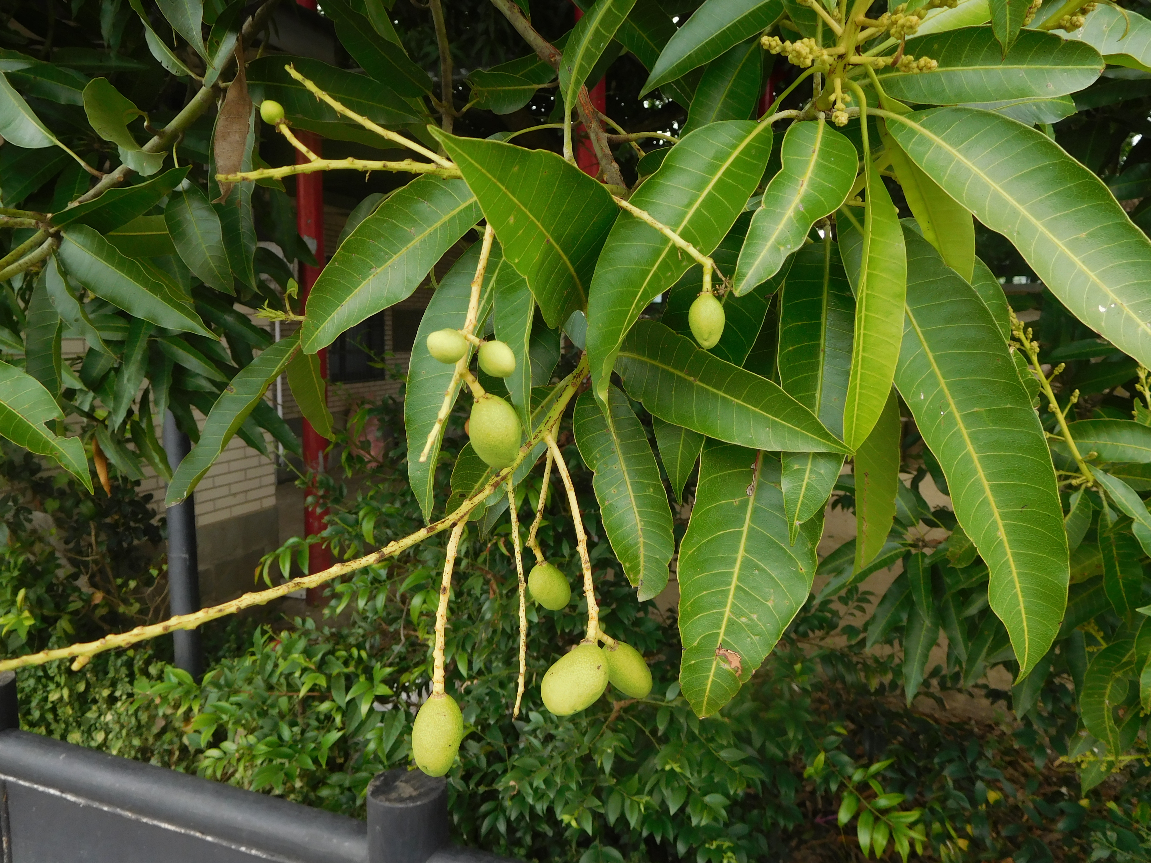 DSCN1638.JPG