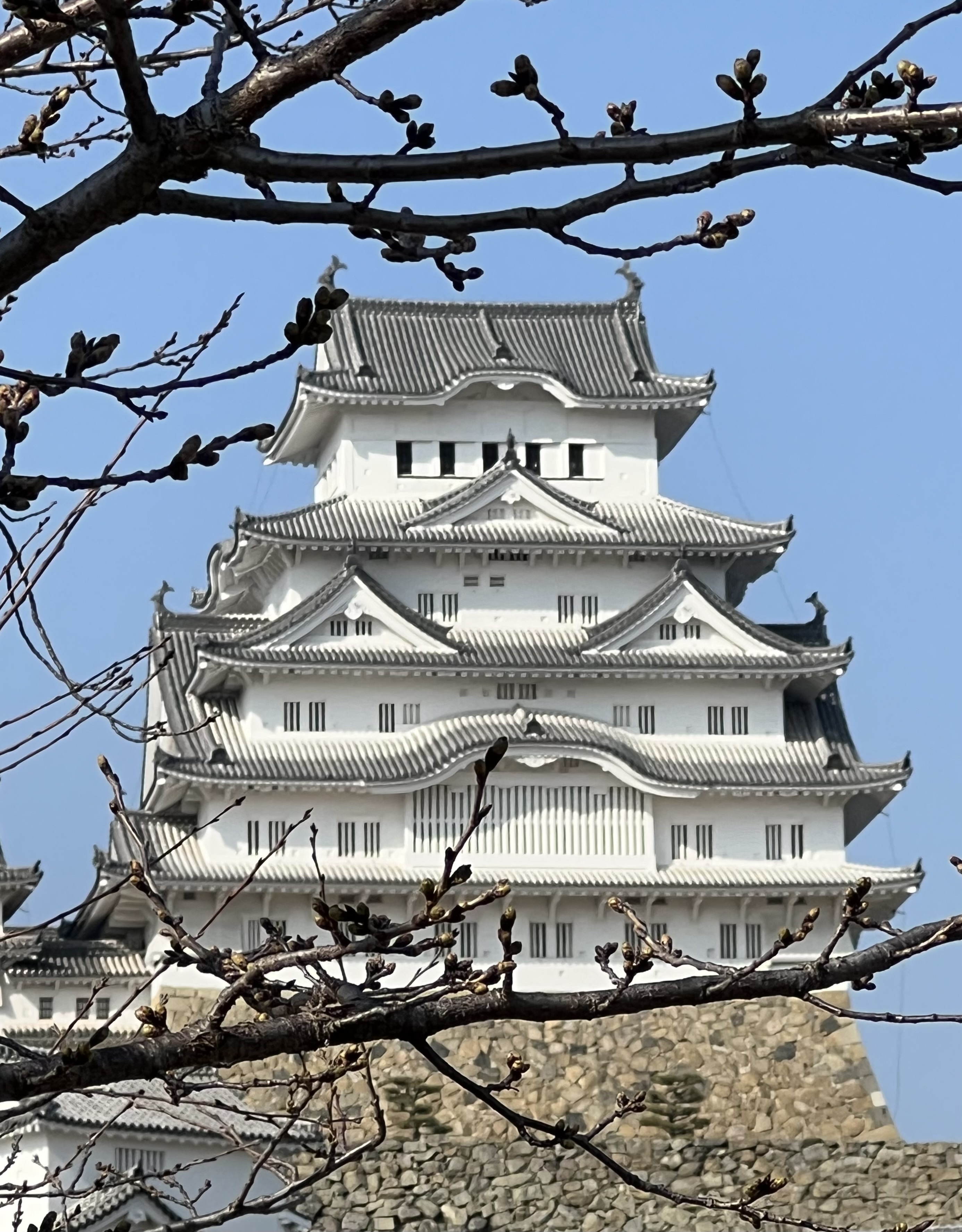 IMG_4042.jpeg