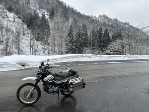 IMG_9584.JPG