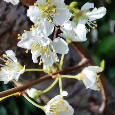 IMG_20260322_084336.jpg