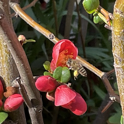 IMG_1674.jpeg
