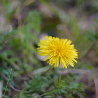 P1050281.JPG