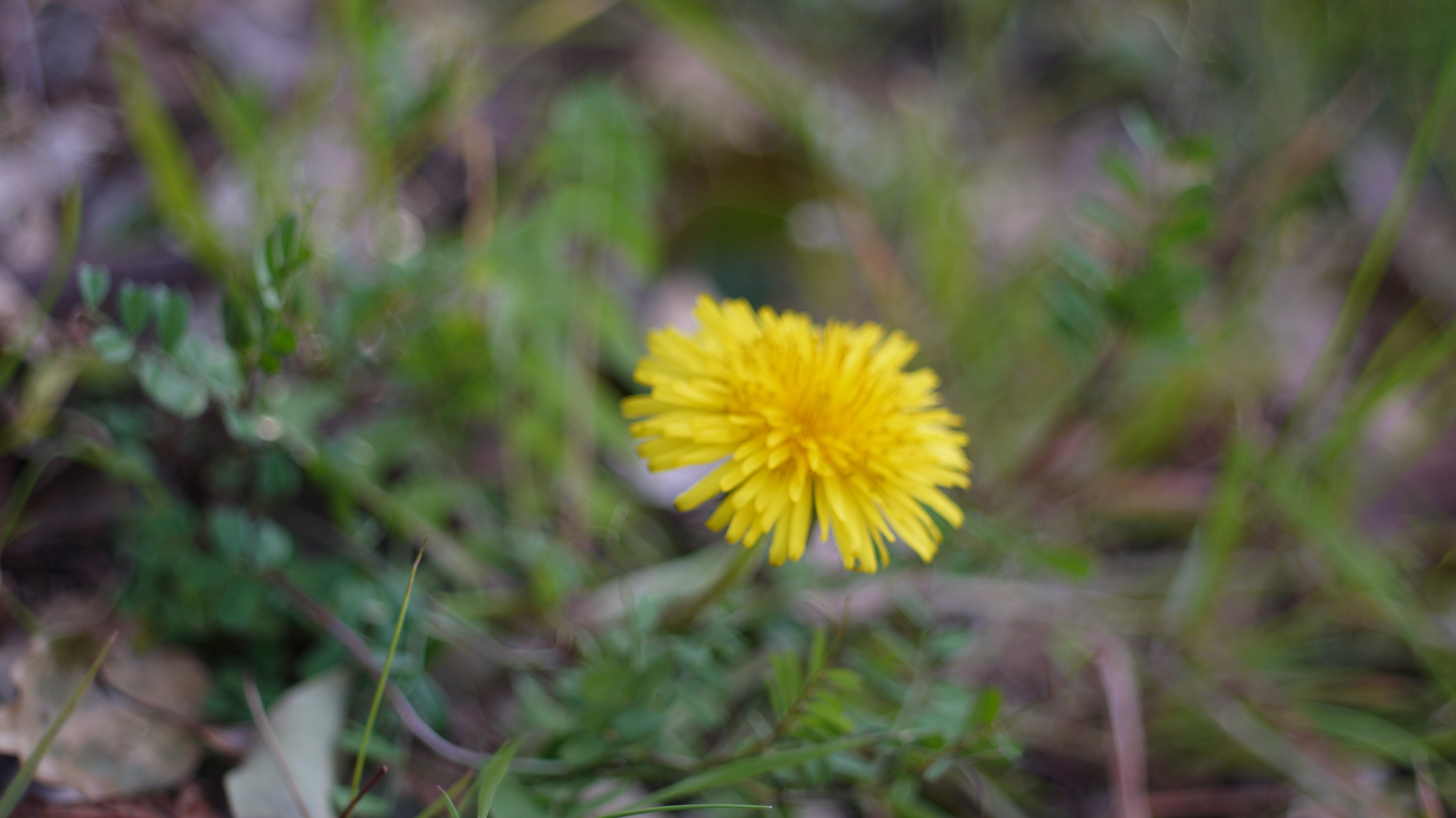P1050281.JPG