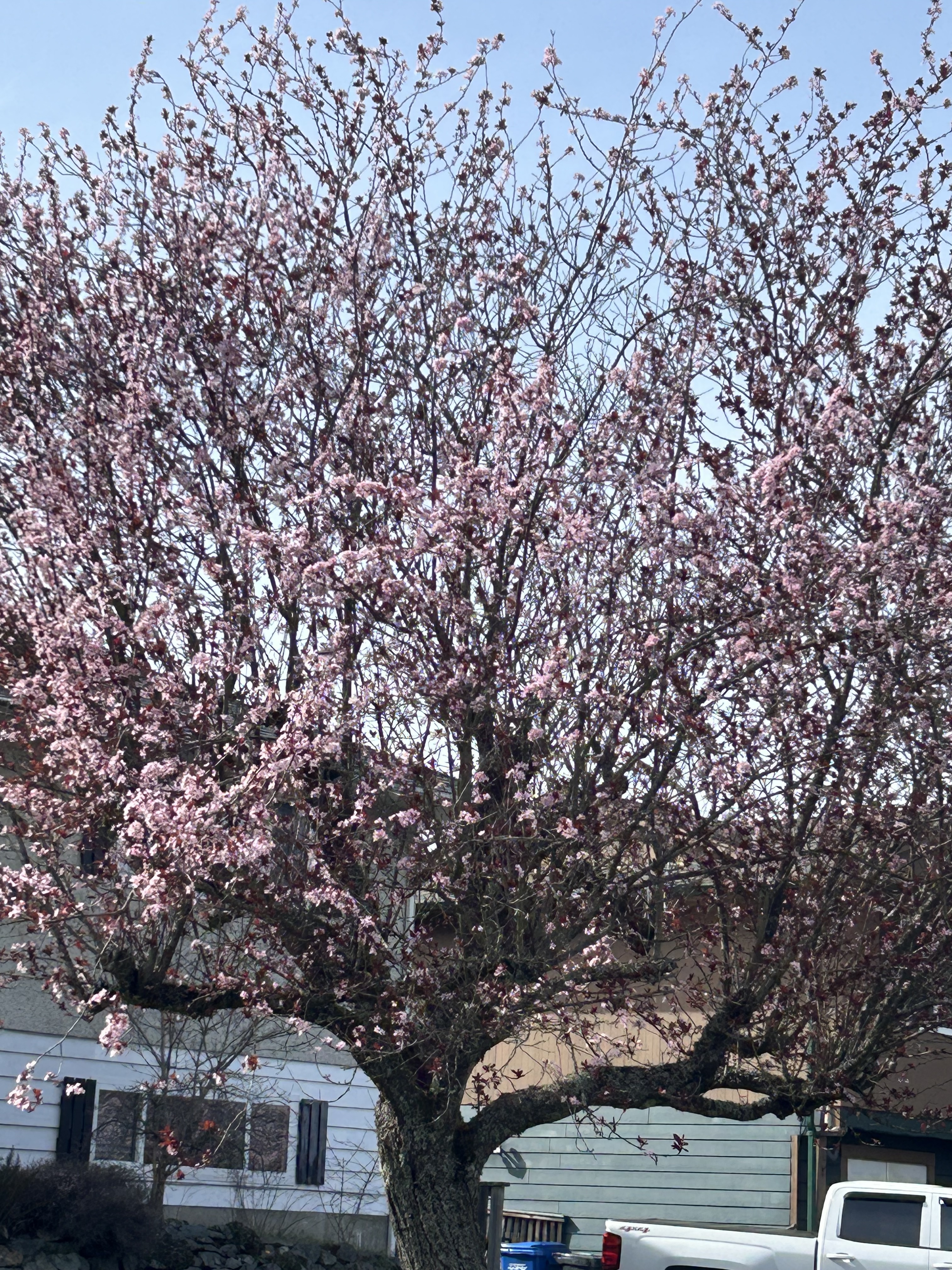 IMG_1116.jpeg