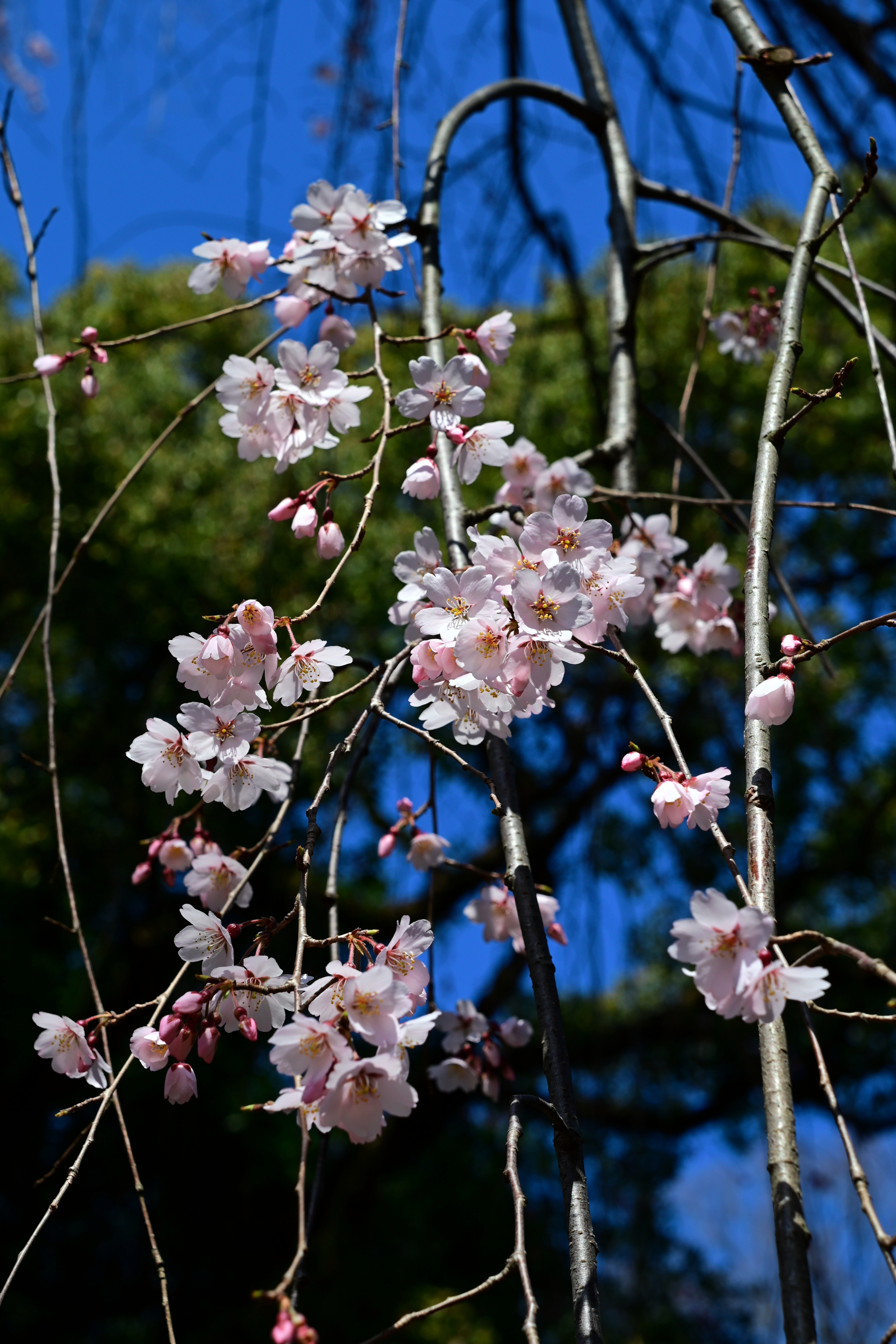 DSC_0548.jpg
