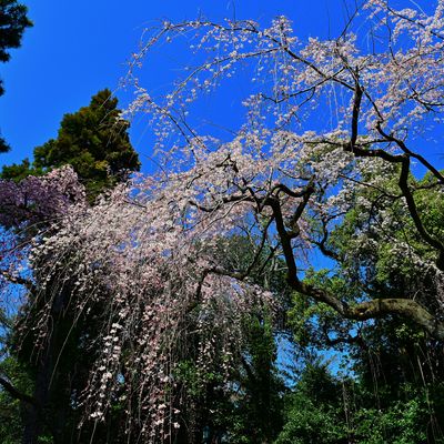 DSC_0543.jpg