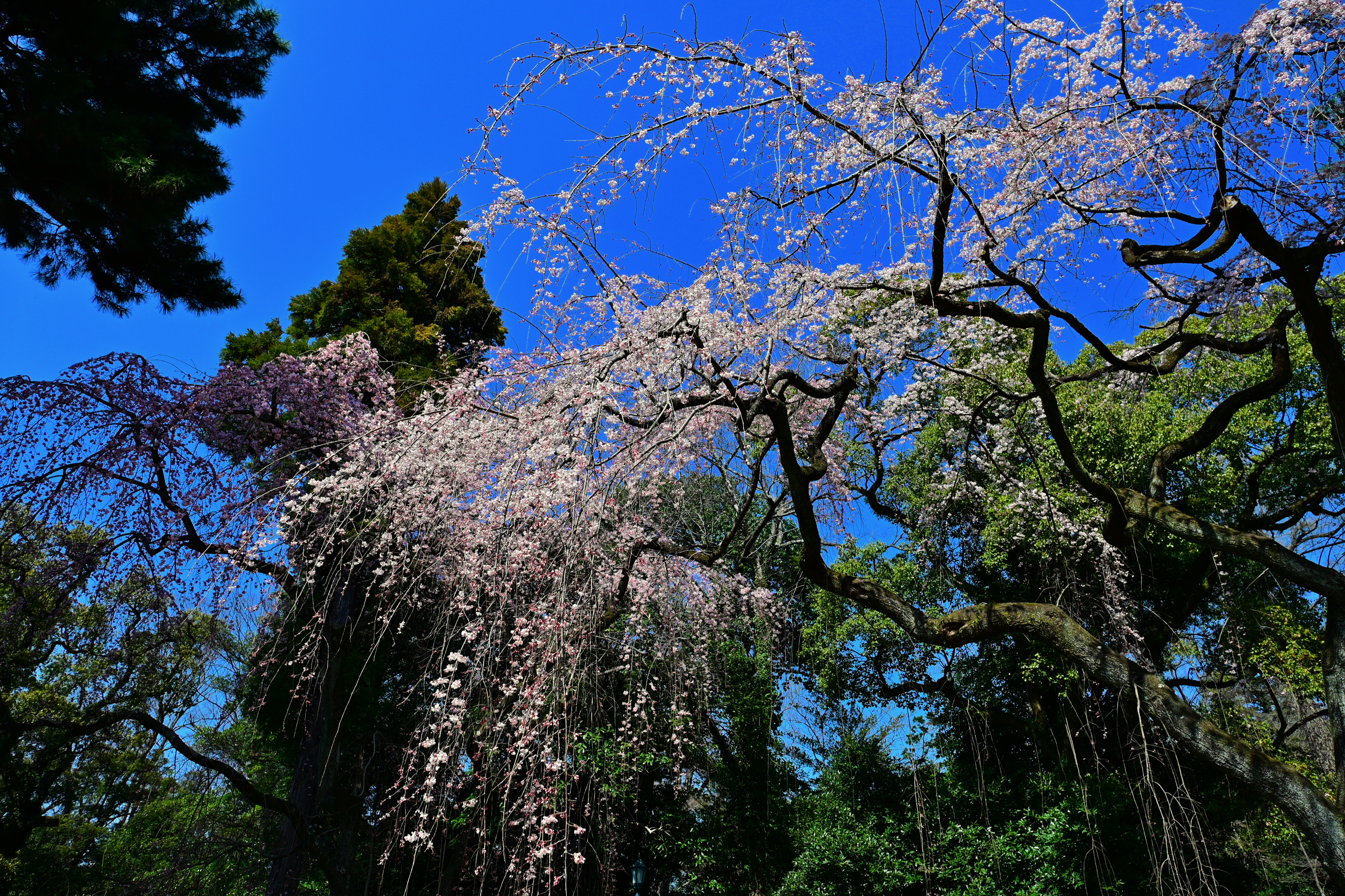 DSC_0543.jpg