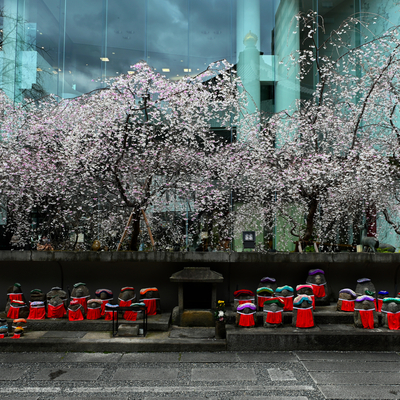 DSC_0623.jpg