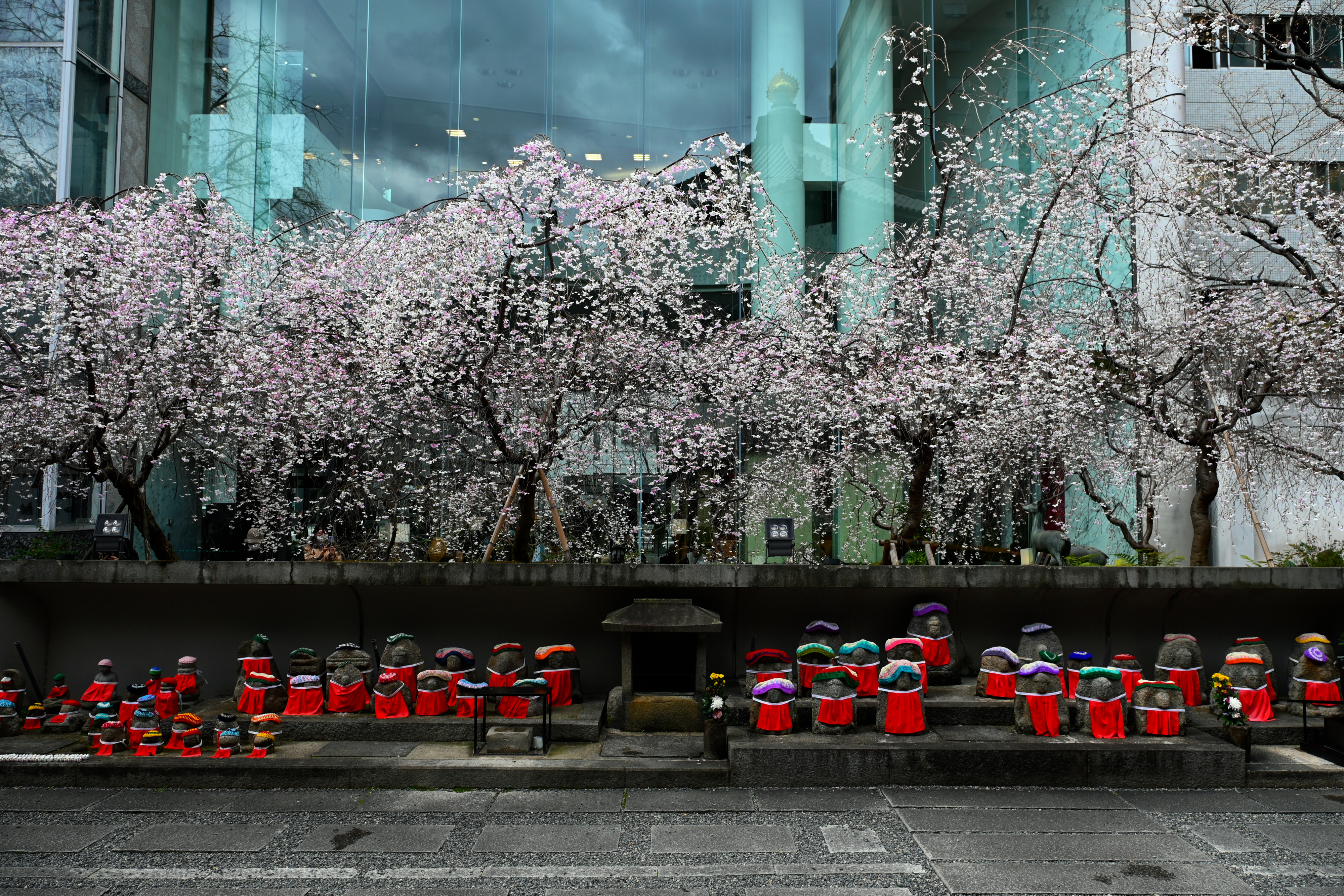 DSC_0623.jpg