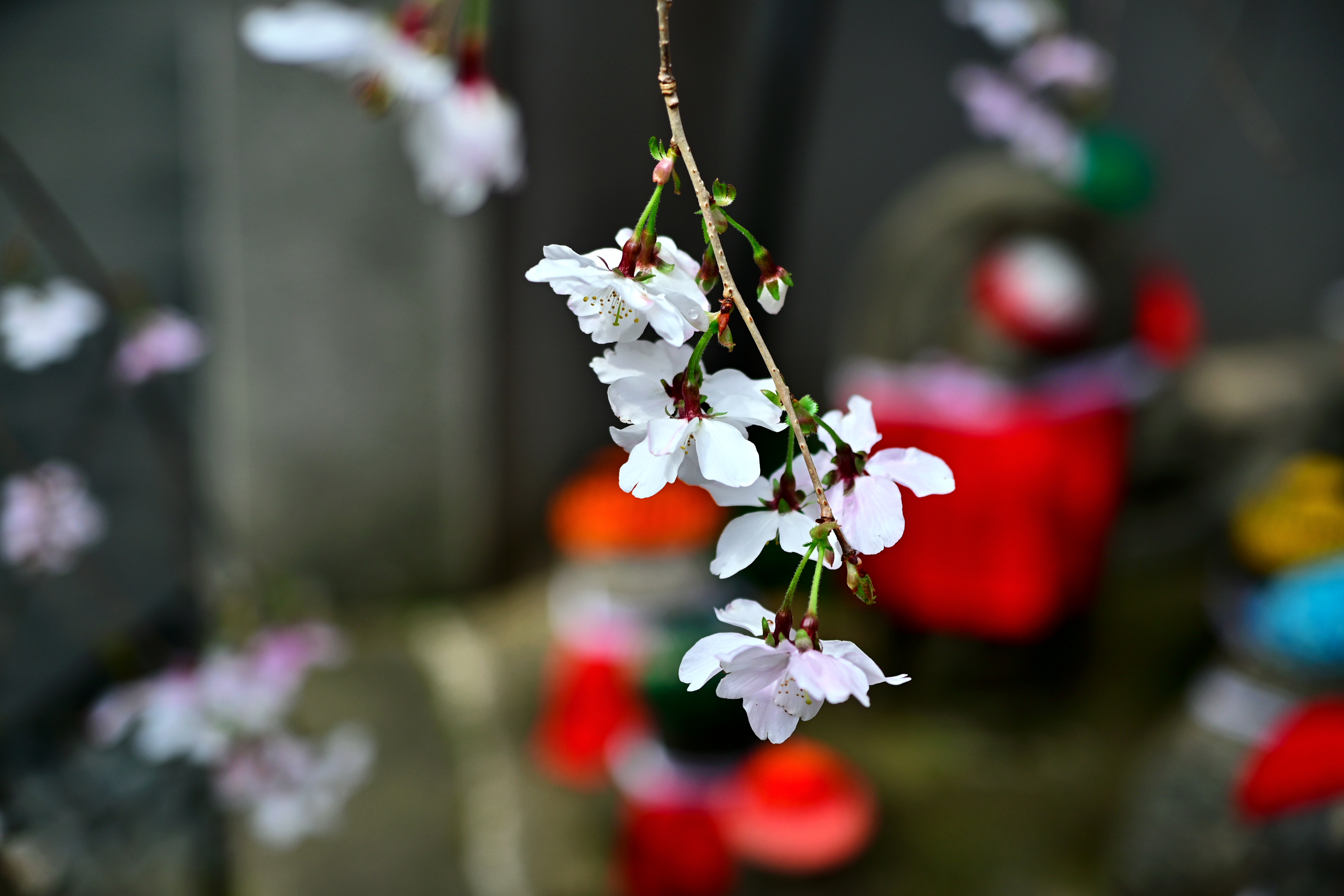 DSC_0604.jpg