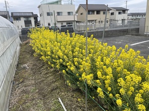 IMG_7775.jpeg