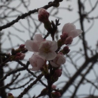 P1050297.JPG