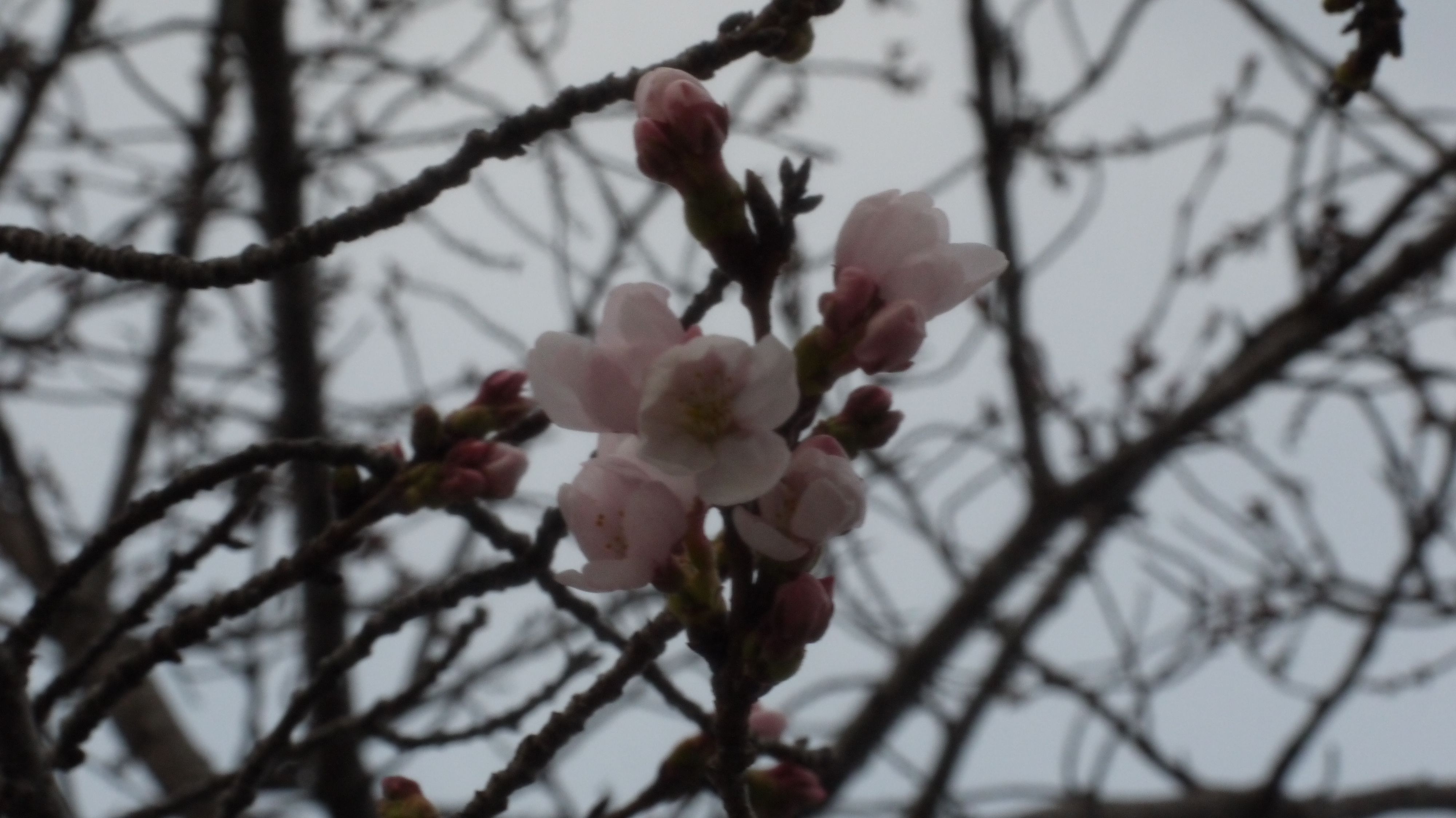 P1050297.JPG