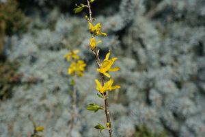 IMG_2840.jpeg