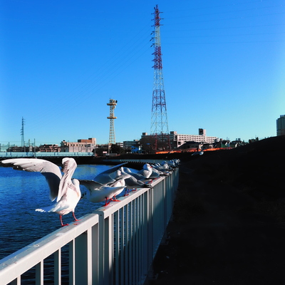 DSCF0251_1.jpeg
