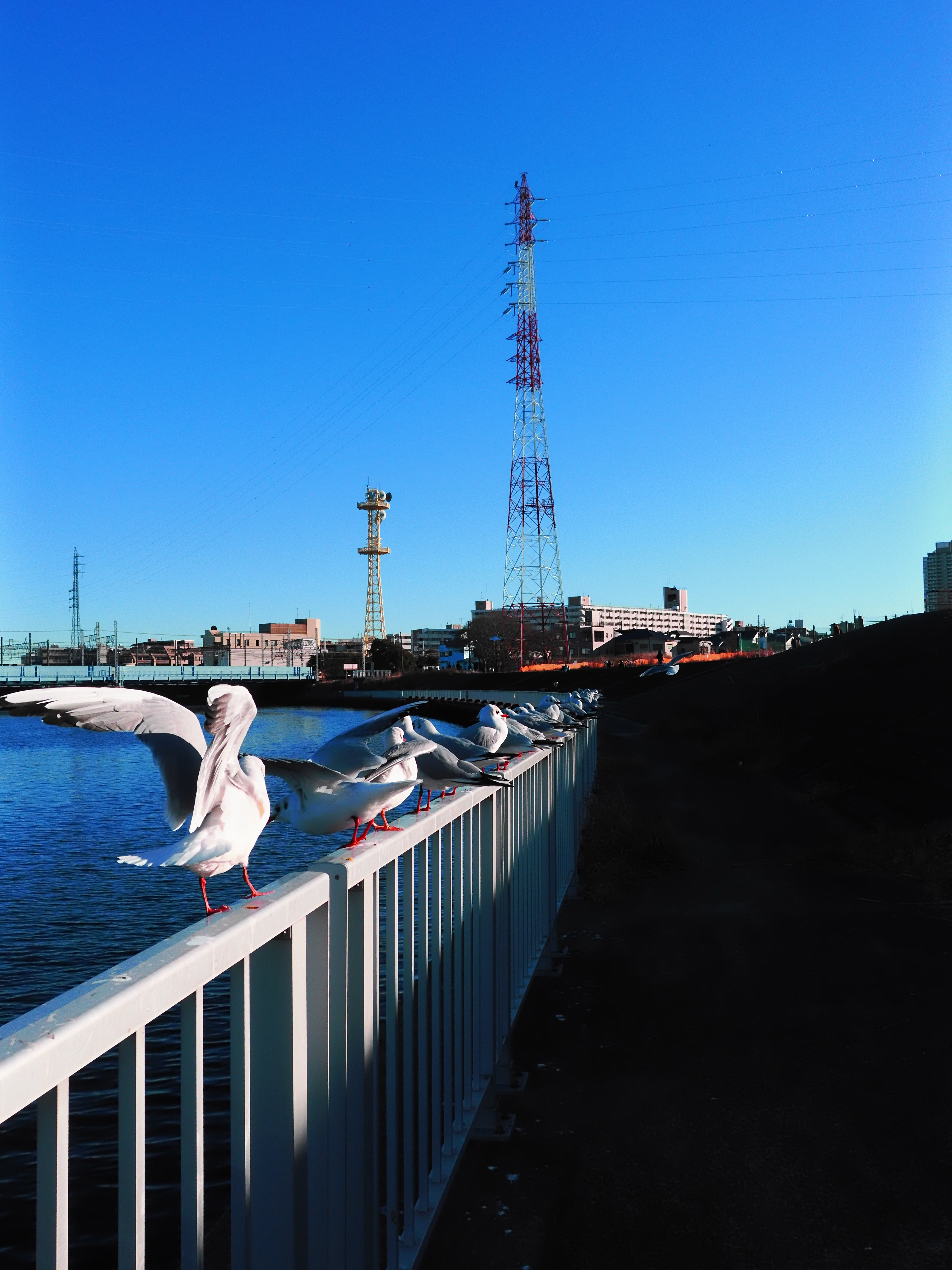 DSCF0251_1.jpeg