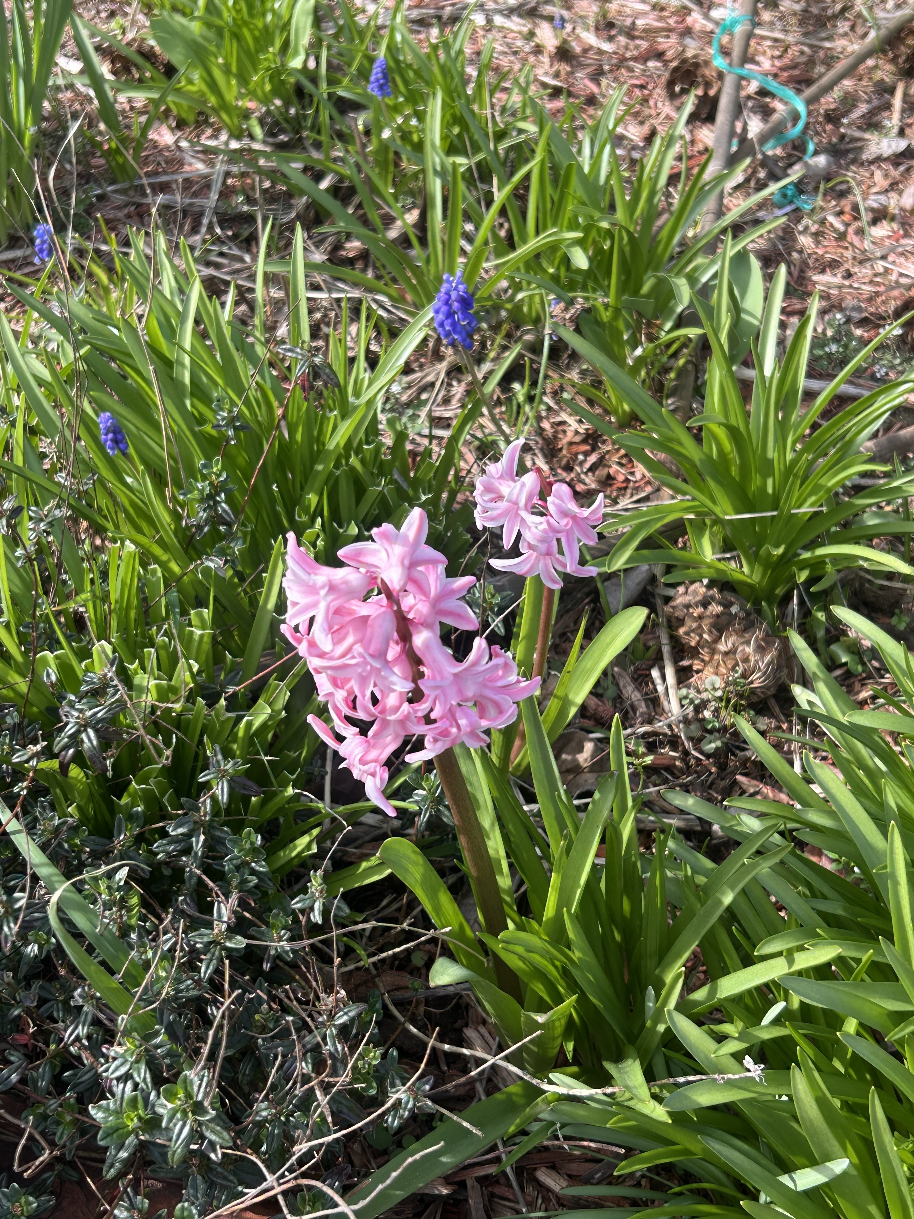 IMG_1117.jpeg