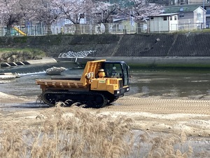 IMG_7036.jpeg