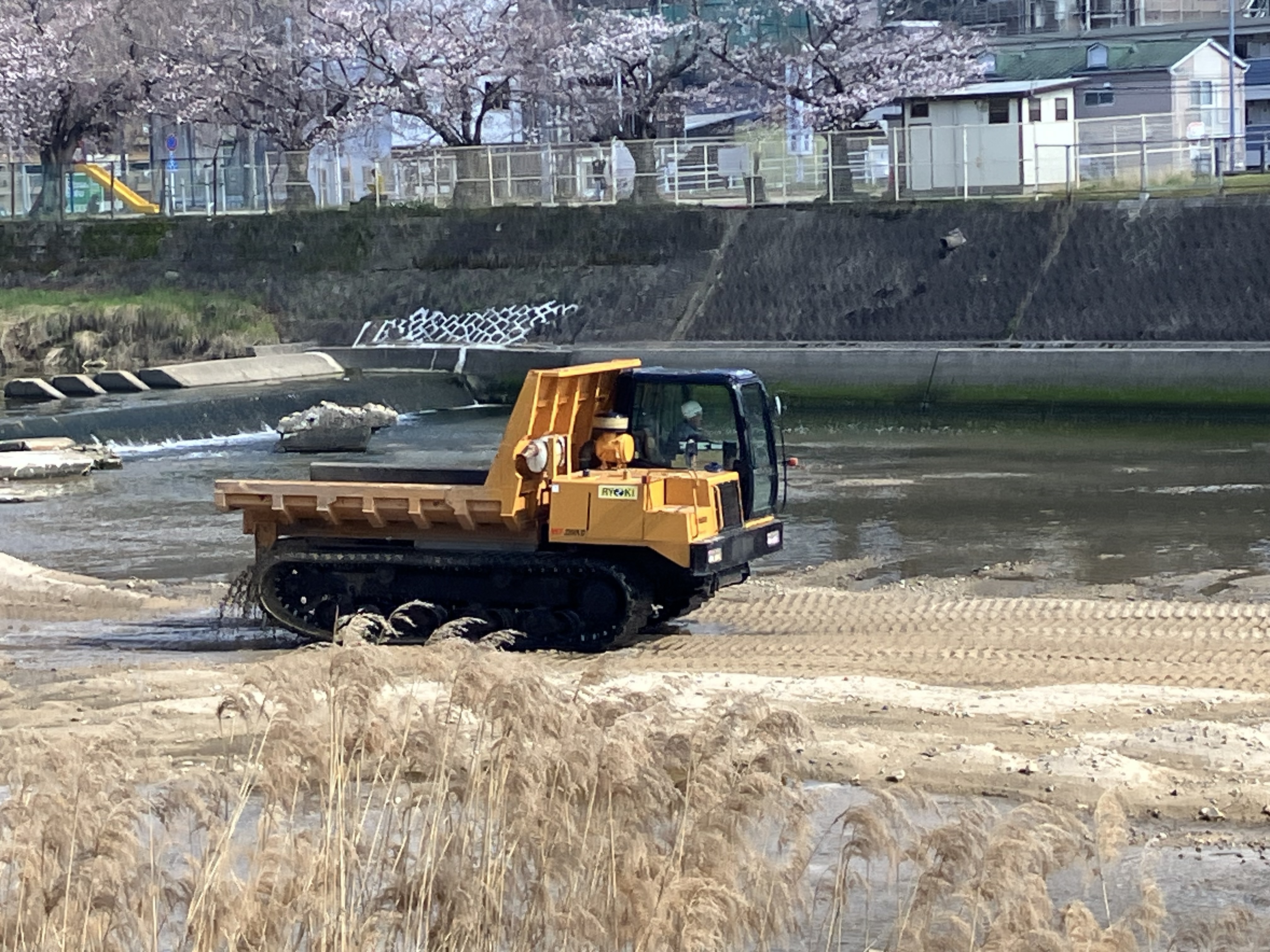 IMG_7036.jpeg