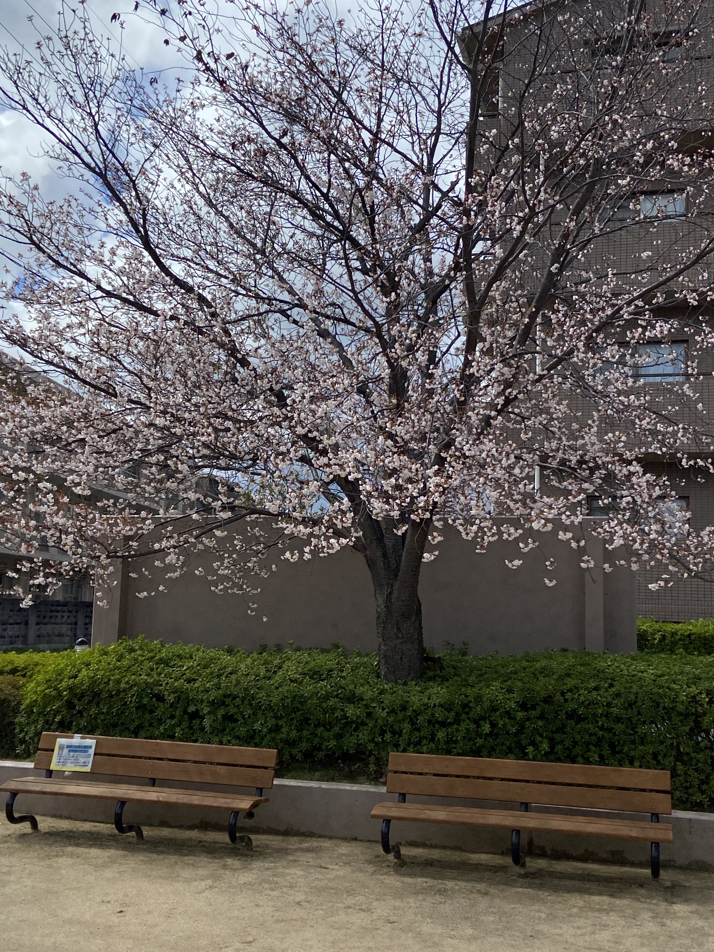 IMG_1652.jpeg