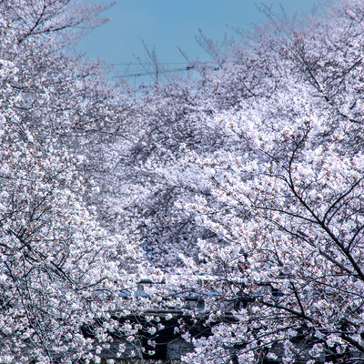 IMGP1024.jpg