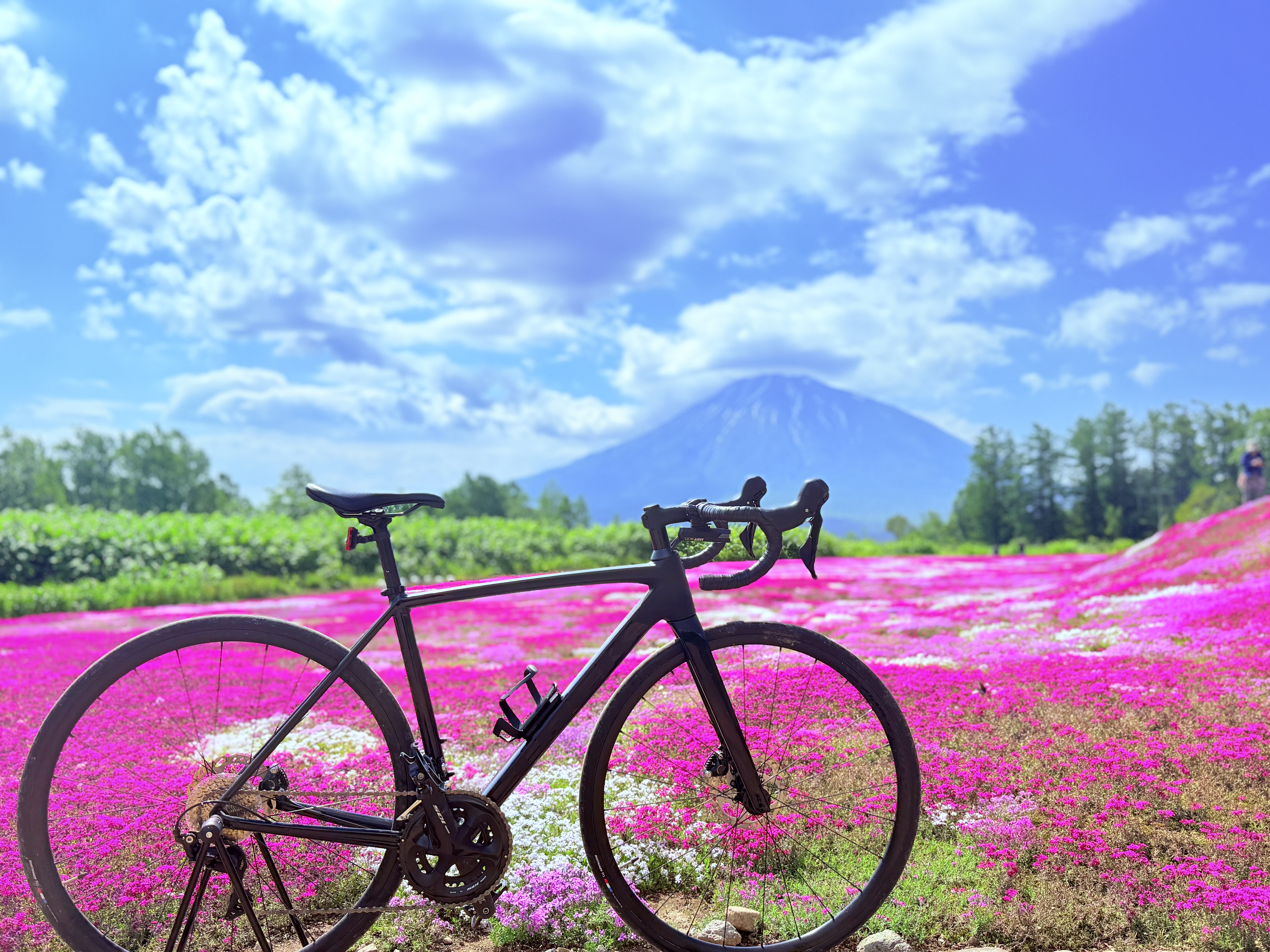 IMG_1901.jpeg