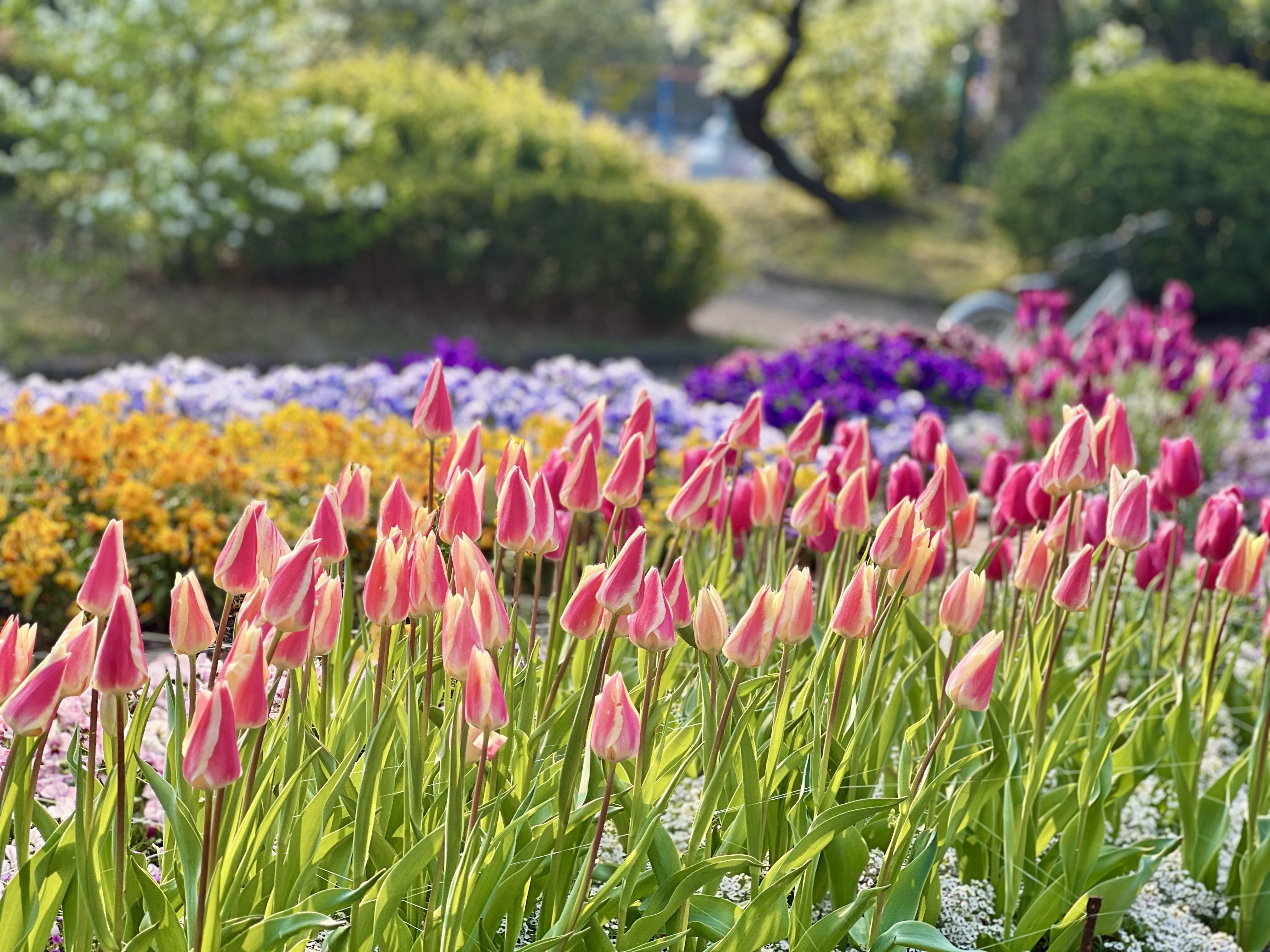 IMG_7844.jpeg