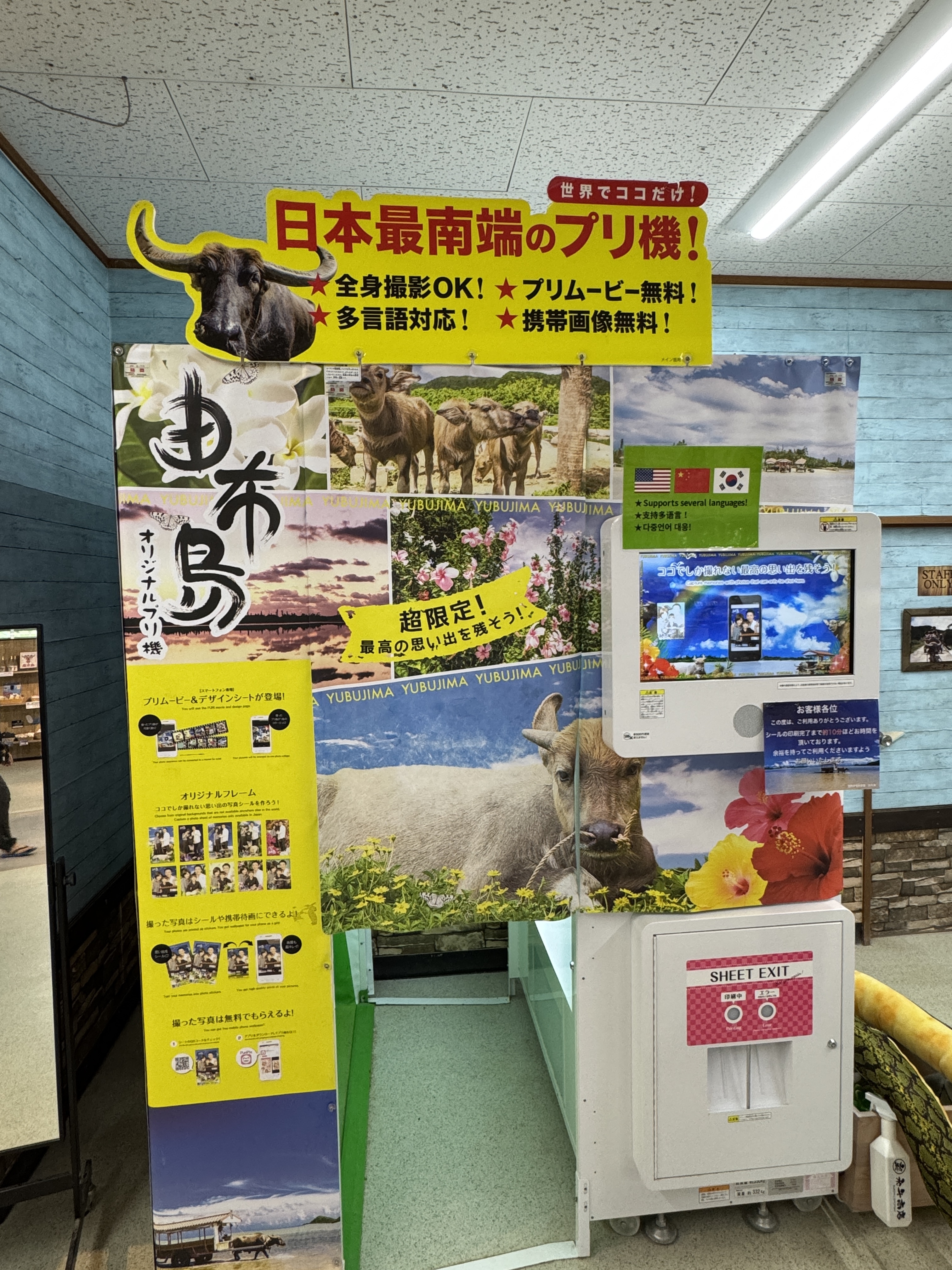 IMG_2959.jpeg