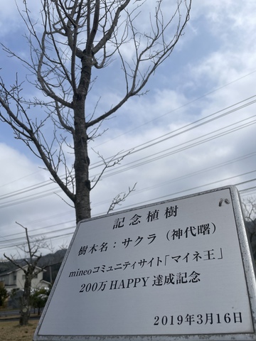 IMG_3598.jpeg