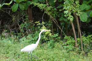 IMG_3164.jpeg