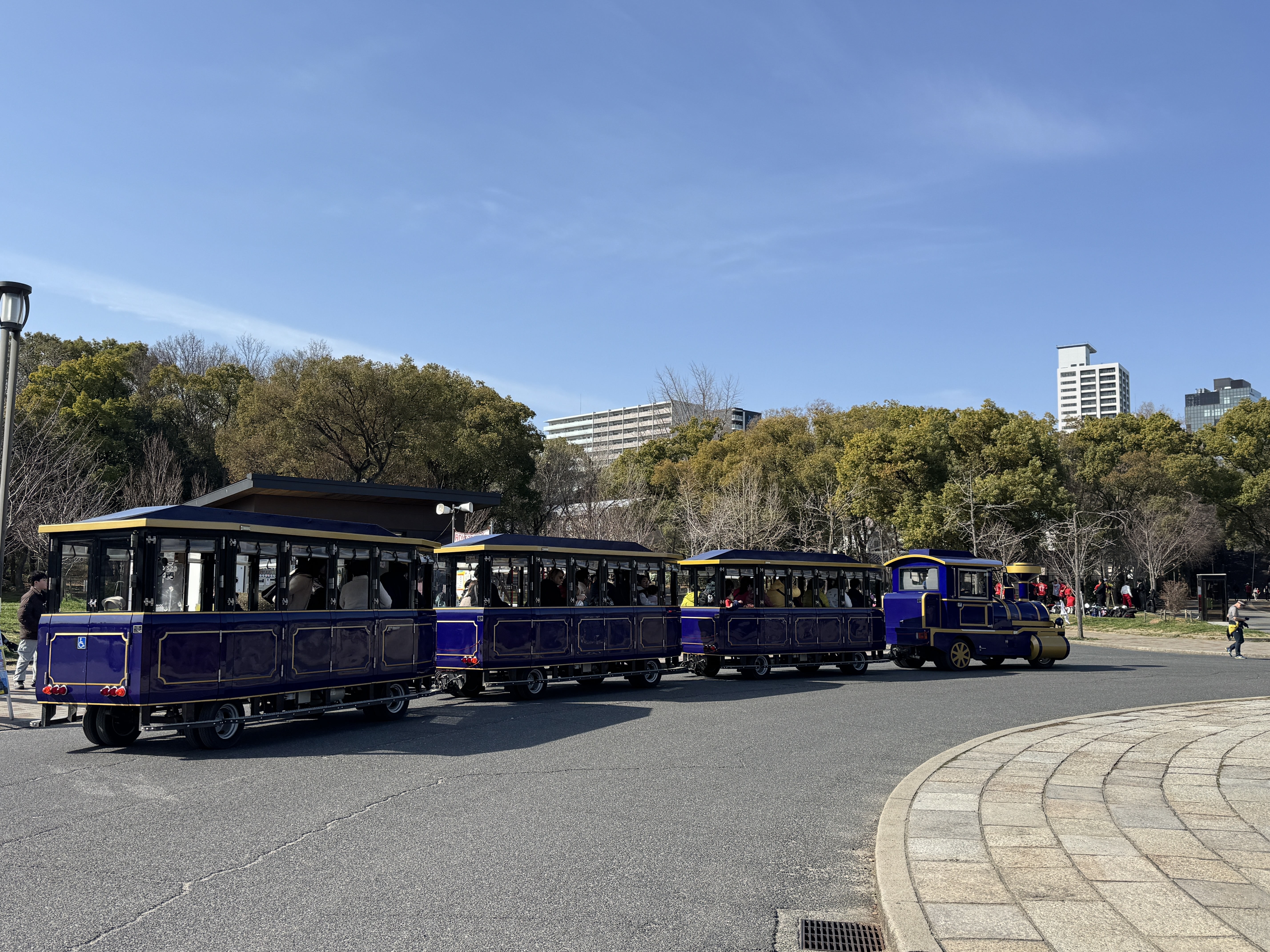 IMG_2223.jpeg