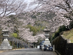 IMG_7113.jpeg