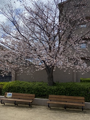 IMG_1652.jpeg
